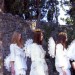 Hyeres les reines